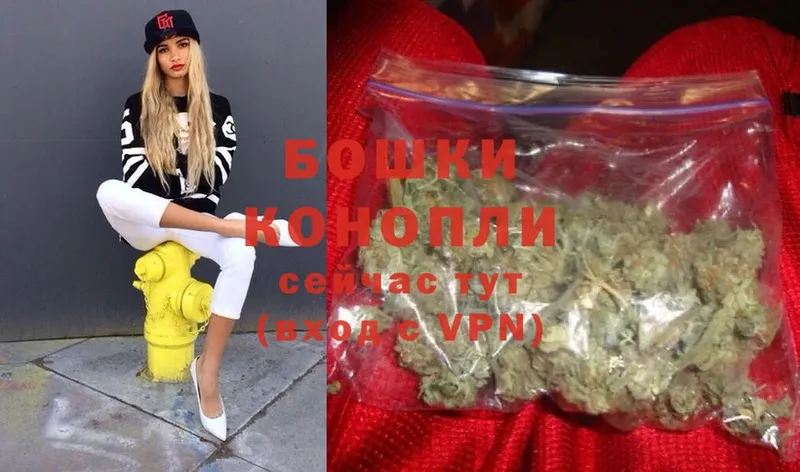 Конопля White Widow  где найти   Старая Русса 